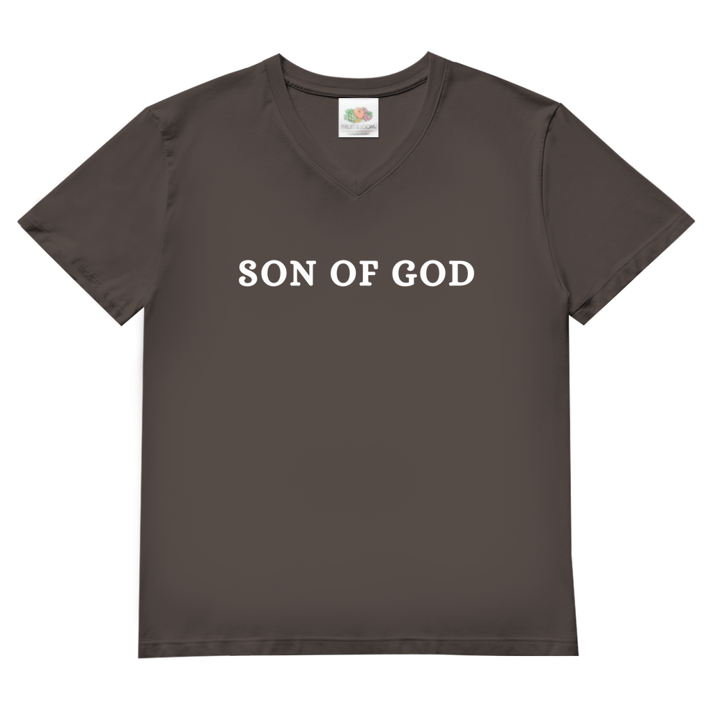 Herren Basic V-Neck T-Shirt post