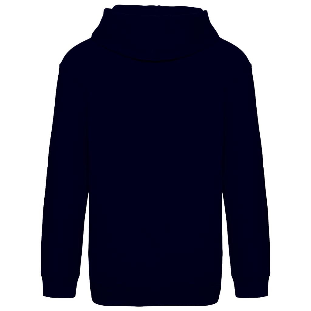 Kids Basic Hoodie Löwe von Juda