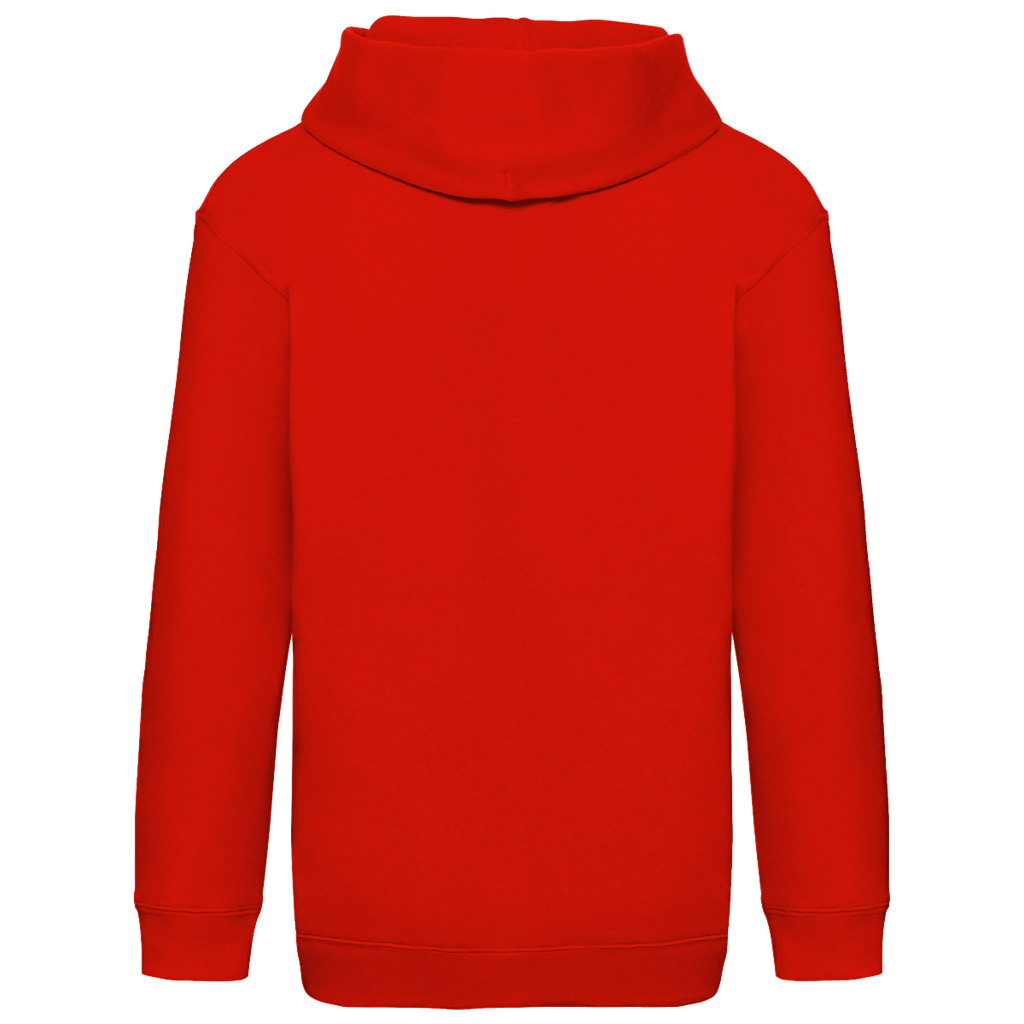 Kids Basic Hoodie Löwe von Juda