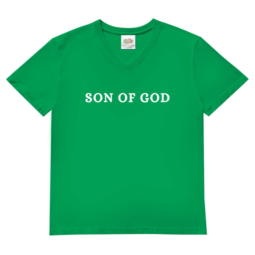 Herren Basic V-Neck T-Shirt post