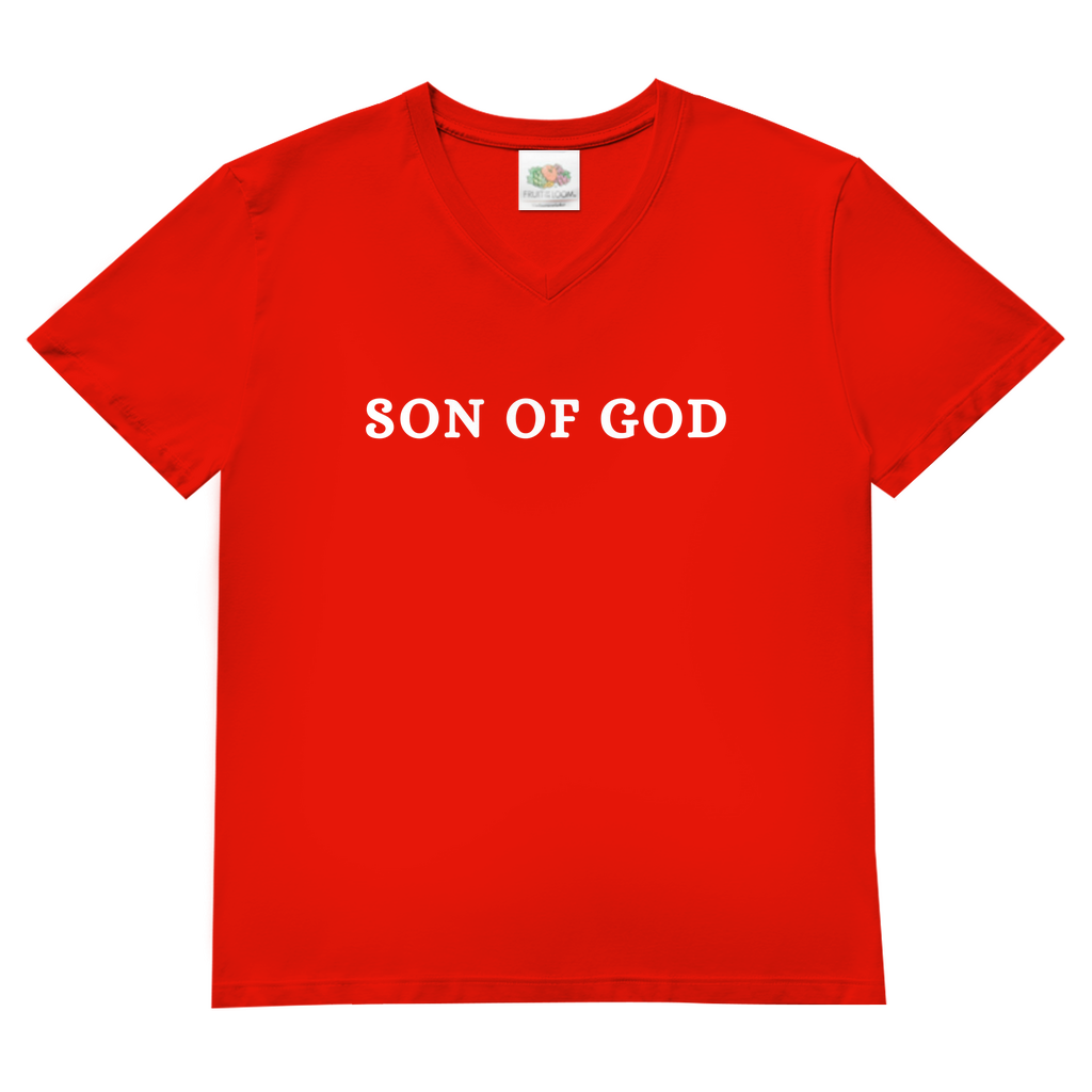 Herren Basic V-Neck T-Shirt post