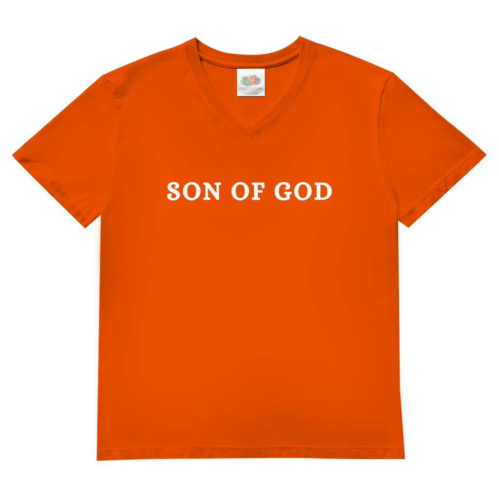 Herren Basic V-Neck T-Shirt post